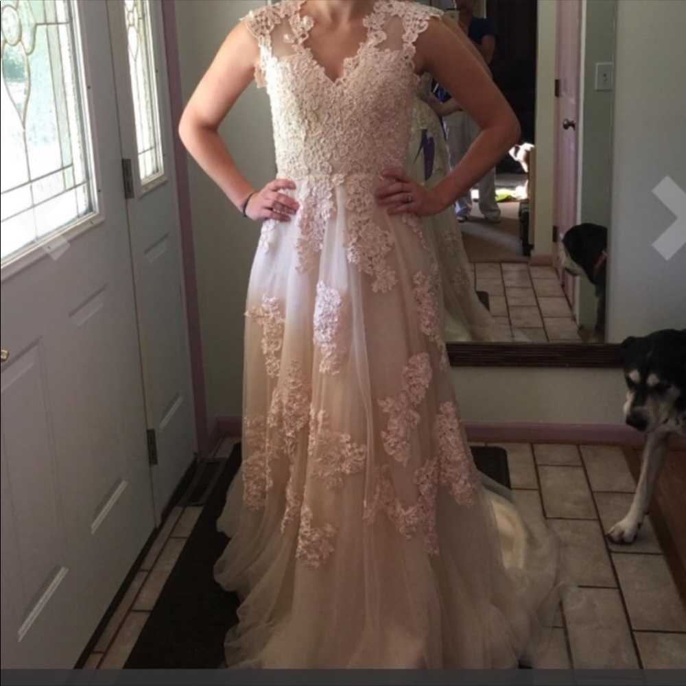 Blush lace dress